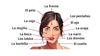 Spanish Lesson - Parts of the Face in Spanish. Partes de la cara.