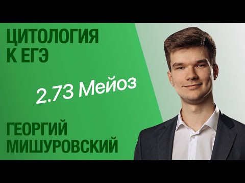 2.73. Мейоз | Цитология к ЕГЭ | Георгий Мишуровский