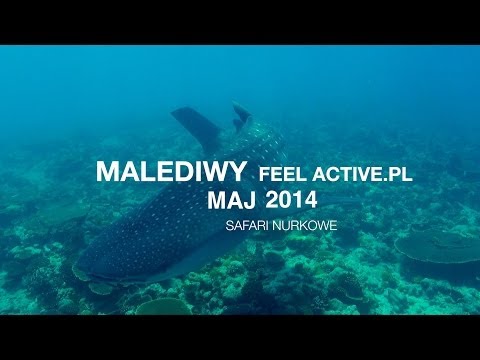 Nurkowanie na Malediwach