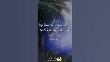 تلاوة عطرة من سورة إبراهيم للقارىء مصطفى جيد #quran #قرآن #islamic #islam #اسلام