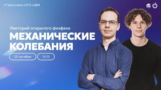 Механические колебания | Лекторий открытого физфака