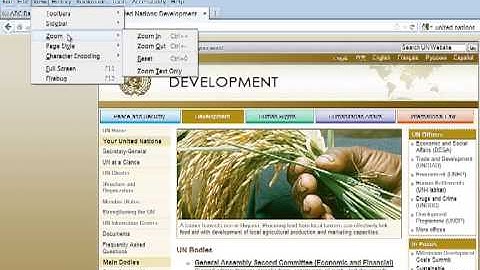 Firefox - change web content size