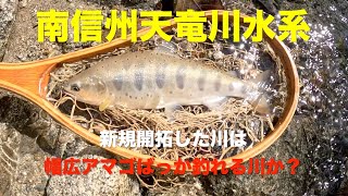 【渓流釣り】南信州天竜川水系で釣り場の新規開拓してみた2023.08.29