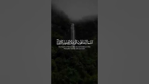 وإذا ذكر الله وحده اشمأزت قلوب الذين لا يؤمنون بالآخرة #قرآن كريم #ماهر_المعيقلي