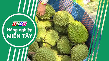 Ngành rau quả Việt Nam đặt mục tiêu xuất khẩu 10 tỷ USD vào năm 2030 | Nông nghiệp Miền Tây