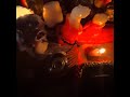 Black magic binding spell #usa #uk #keşfet #india #halloween #rain #islam #live #like #fire