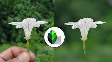 Blur background with sanpseed Blur background sanpseed photo editing tutorial#sanpseed#edit #flowers