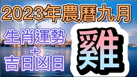 【古柏论命每月运势 + 吉日凶日】2023年农历九月(阳历10/15 ~ 11/12)生肖运势分享 -  鸡 - 天天要闻