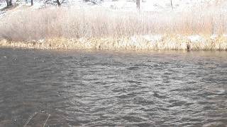 Reading the River, a basic view.