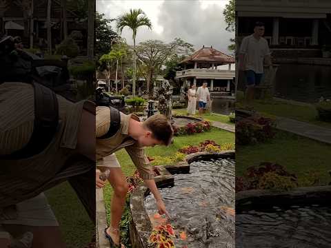 Exploring Tirta Gangga water palace in Bali 🇮🇩 #travelvlog #travel #bali