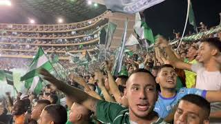 Deportivo Cali 🆚 Junior | FRENTE RADICAL VERDIBLANCO || DEPORTIVO CALI FINALISTA LIGA