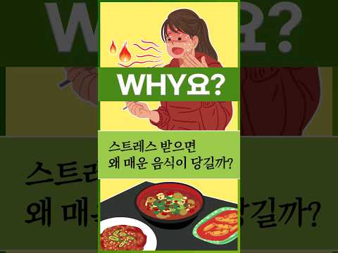 [<strong>Why요</strong>?] 스트레스 받으면 왜 매운 음식이 당길까? #shorts