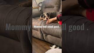 Mommy Feet Smell Good 