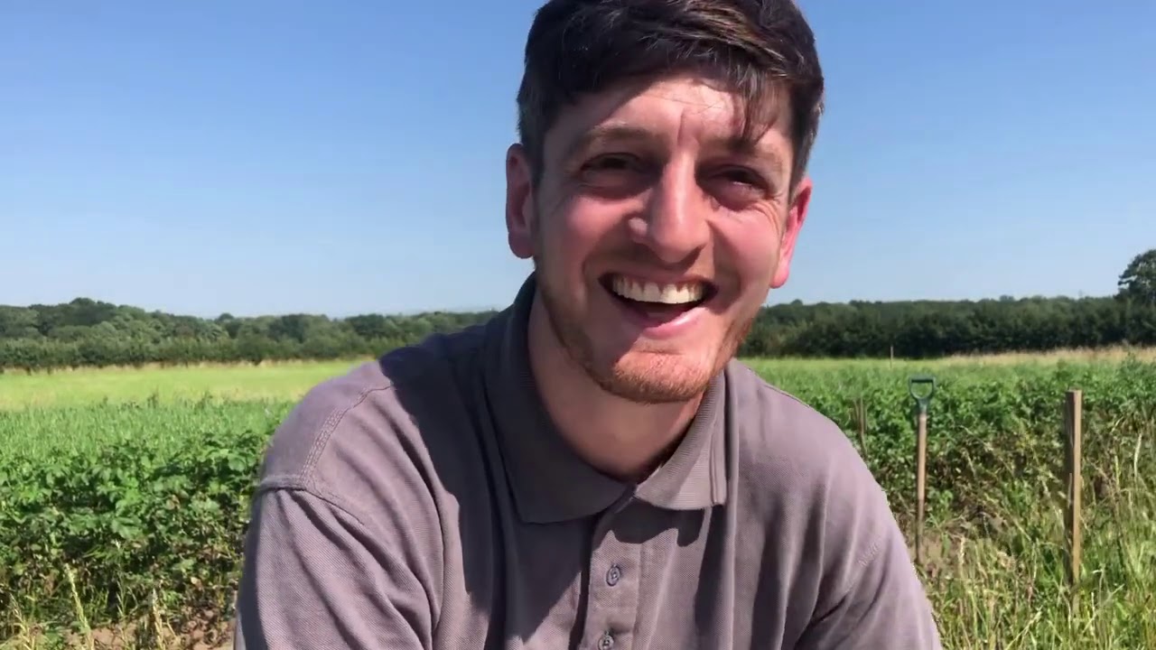 Primrose Hill Nursery