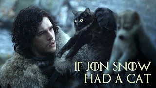 If Jon Snow Had A Cat