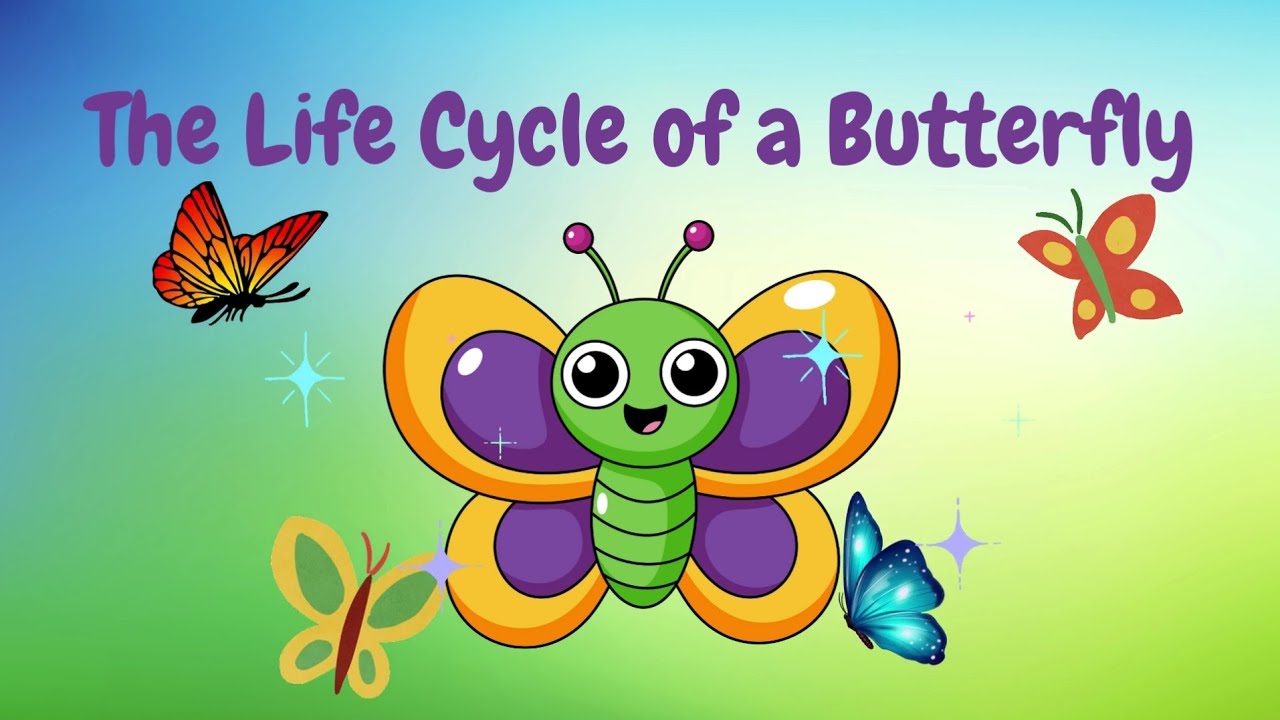 The Magical Journey: Life Cycle of a Butterfly Explained for Kids ...