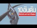 10 อันดับ สัตว์ประหลาดอุลตร้าแมนฆ่ากันเอง ᴴᴰ