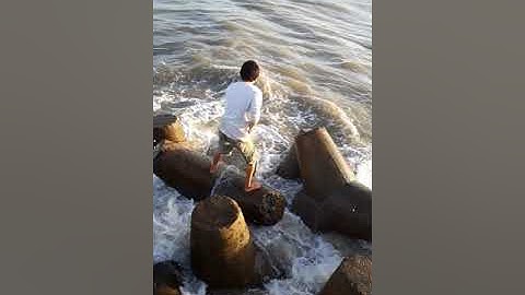 Đội tằm ngư câu cá đuối phan rí cửa