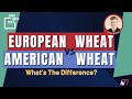 European Wheat vs American Wheat | Dive Into Diet w/ Lucas Schmidt