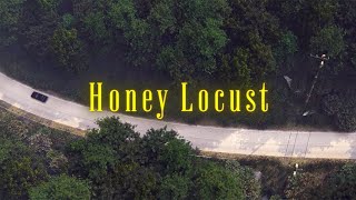 Honey Locust (2022)