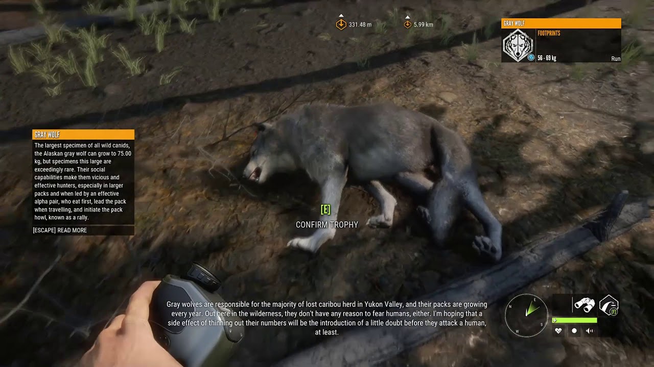 The Hunter - CotW - Yukon Valley - Ulve Angreb (avavavav) og Golden