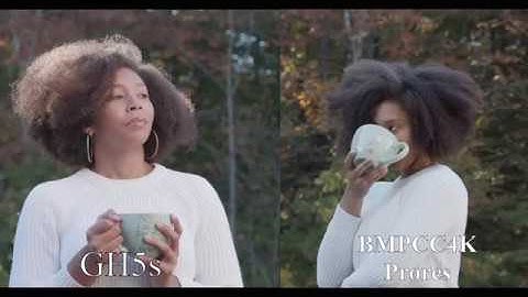 BMPCC 4K vs GH5s | Film vs V-log L | Dynamic Range