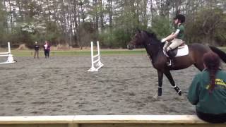 Pony Club C2 Rating