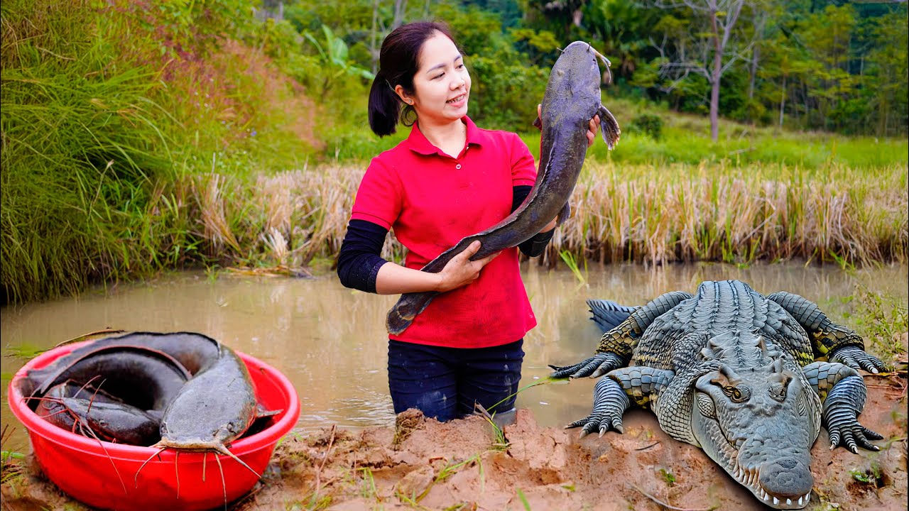 Harvesting Giant Mutant Fish Goes To Market Sell - Jelly Cooking | Hana Daily Life 686 | Farm Life