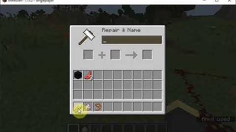 Epic new glitch in minecraft (1.15.2)