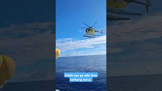 Heli kopter di kapal pursein ini misinya utk mencari keberadaan tuna #videoshort #anakkapal