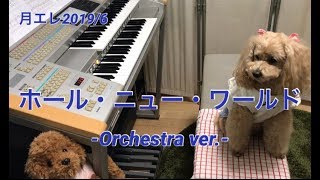 ホール・ニュー・ワールド-Orchestra ver.- アラジン エレクトーン演奏