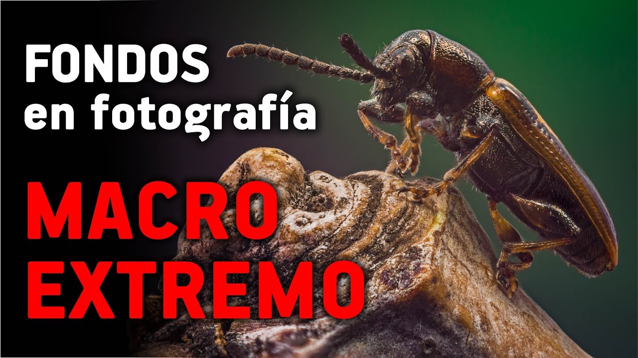 telescopios argentina FONDOS en fotografía MACRO EXTREMO