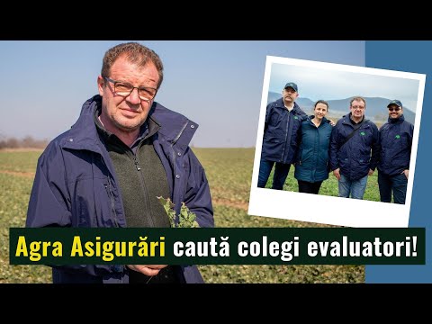 Video: Cum lucrează evaluatorii de asigurări?