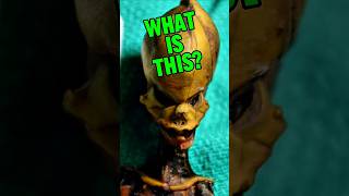 Atacama Skeleton Garry Nolan On Lex Fridman Podcast