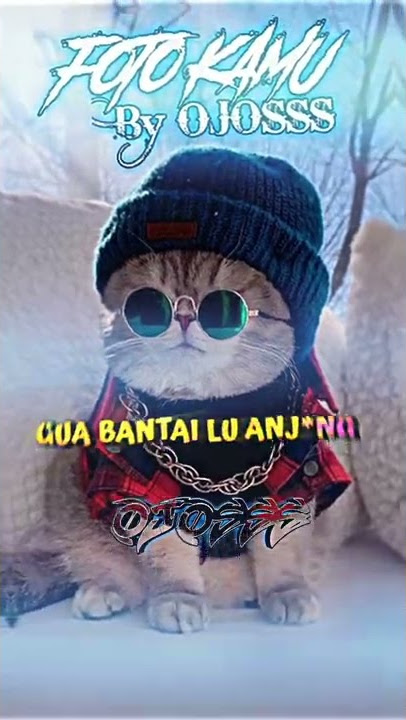 PRESET GUA BANTAI LU ANJING SOUND OLD DI TIK TOK