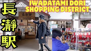 長瀞駅 Station Dori Shopping District Botanes Vlogs