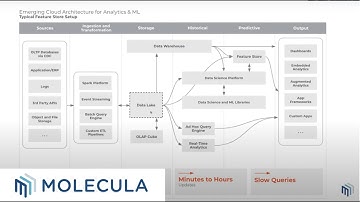How to simplify your complex data stack | Webinar by Molecula