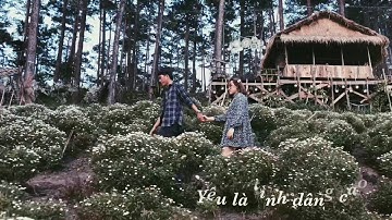 Yêu - Những tháng năm rực rỡ