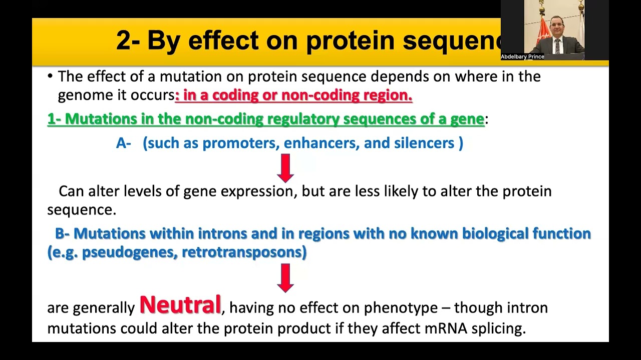 Mutation Part 2