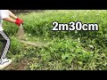 超巨大な鎌で草刈りしてみた!