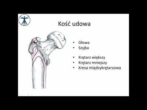 Wideo: Martwica Aseptyczna - Stadia, Martwica Aseptyczna Kości, Głowy Kości Udowej, Stawów Biodrowych I Kolanowych, Kości Ramiennej I Skokowej