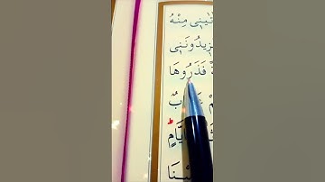 سورة هود الأية 63 إلى 65 القارئ سعد الغامدي #أرح_سمعك_وقلبك