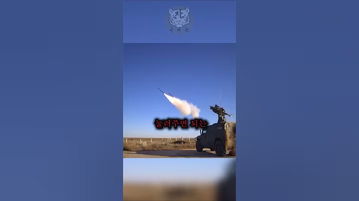 불곰국에서 꽁꽁 숨겨놓은 정신나간 근접 방공 시스템