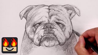 How To Draw a DOG | BULLDOG | Sketch Tutorial