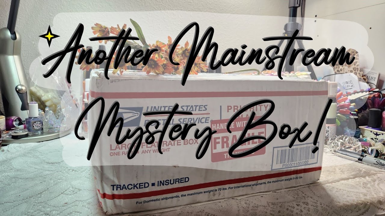 Mainstream Brands Mystery Box