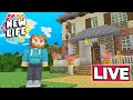 My FIRST STREAM on NEW LIFE SMP : Minecraft Survival