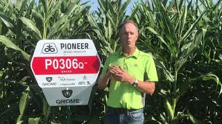 Qrome® technology, for corn-on-corn rotations