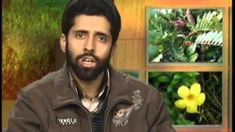 Origin of angiosperms