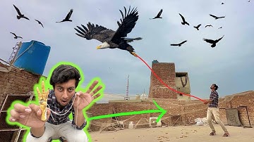 Eagle ko Patang Bana Diya 🪁🦅 || Eagle Trap Video