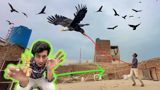 Eagle ko Patang Bana Diya 🪁🦅 || Eagle Trap Video